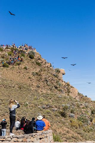 13 Colca Canyon.jpg